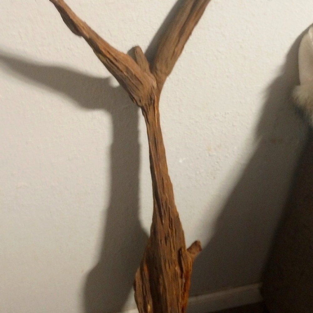 Driftwood
